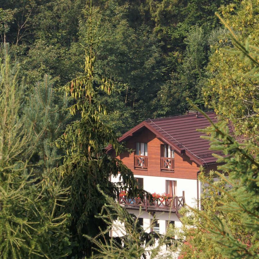 Antracyt Daire Krynica Zdroj Dış mekan fotoğraf