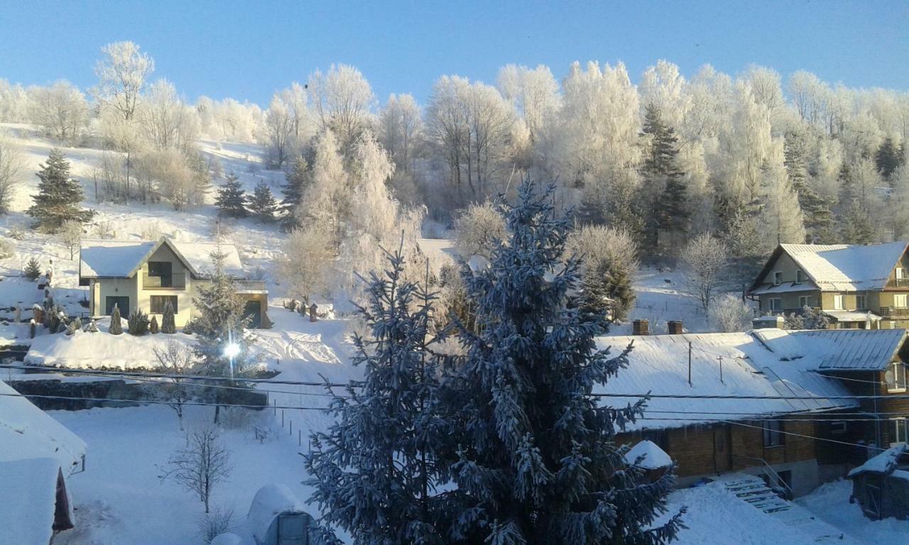 Antracyt Daire Krynica Zdroj Dış mekan fotoğraf