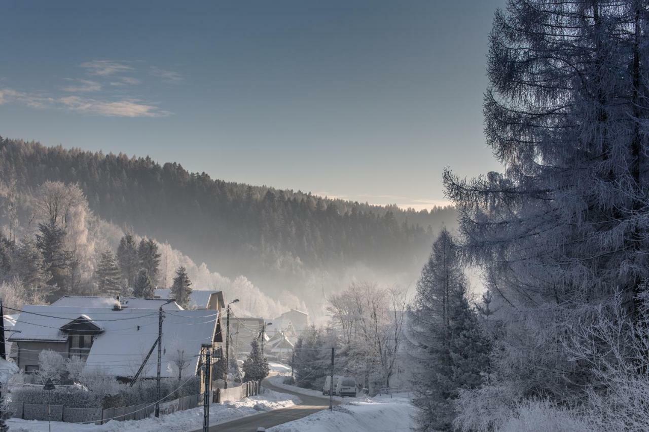 Antracyt Daire Krynica Zdroj Dış mekan fotoğraf